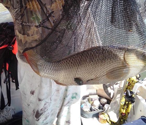 Sulina sept. 2013 - part. I - img20130918133140.jpg